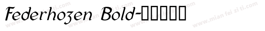 Federhozen Bold字体转换